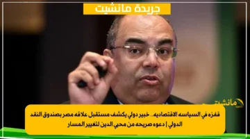 قفزة في السياسة الاقتصادية.. خبير دولي يكشف مستقبل علاقة مصر بصندوق النقد الدولي دعوة صريحة من محيي الدين لتغيير المسار 1